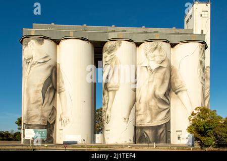 Children Silo Art, Coonalpyn, South Australia, Australia Stock Photo