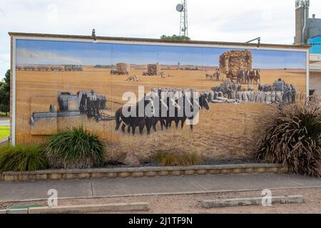 Wheat Harvesting Street Art, Owen, South Australia, Australia Stock Photo