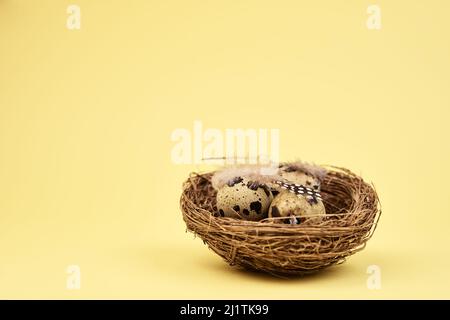Nest with small eggs on yellow background, Happy Easter card Stock Photo