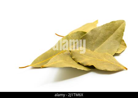 Close up a small pile of organic Bay leaves on white background, Close up dried Bay leaves in details line on its skin, selected focus. Stock Photo