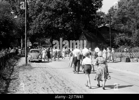 Besucher in der Lüneburger Heide, 1957. Visitors to Lüneburg Heath, 1957. Stock Photo