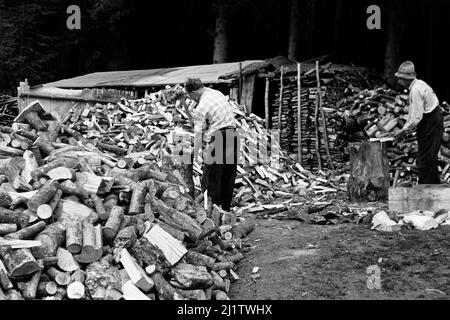 Holz hacken im Bayerischen Wald, 1958. Chopping Wood in the Bavarian Forest, 1958. Stock Photo