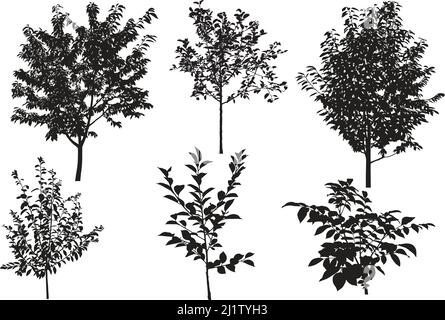 Collection of silhouettes of garden trees: apple, cherry, walnut, plum Stock Vector
