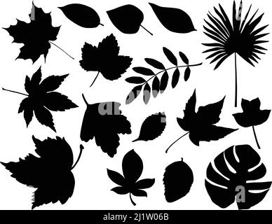 Collection of silhouettes of different species of foliage Stock Vector