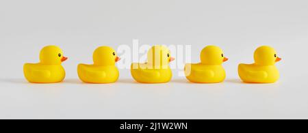 Yellow rubber ducks arranged in a row on white background. Stock Photo