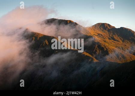 Misty moutains near Jumbo Hut, Holdsworth-Jumbo circuit, Tararua Ranges, North Island, New Zealand Stock Photo