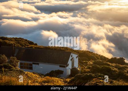 Jumbo Hut, Holdsworth-Jumbo circuit, Tararua Ranges, North Island, New Zealand Stock Photo