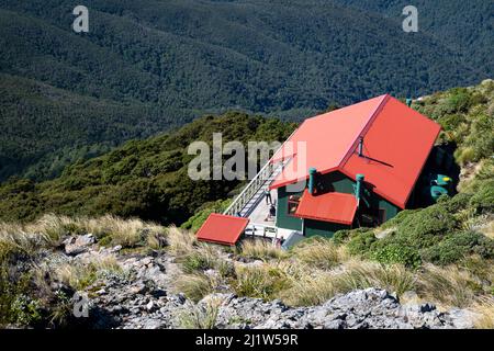 Powell Hutt, Mount Holdsworth, Tararua Ranges, North Island, New Zealand Stock Photo