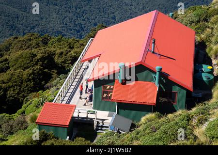 Powell Hutt, Mount Holdsworth, Tararua Ranges, North Island, New Zealand Stock Photo