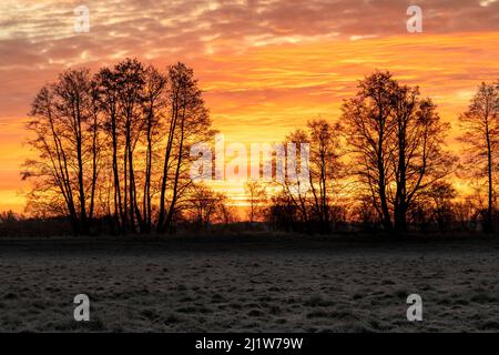 Sunrise on a field in Bavaria in winter Stock Photo