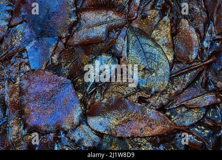 Top view closeup of withered fallen leaves scattered in puddle in daytime and abstract background Stock Photo