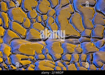 Top view of wet rough cobblestone road with holographic effect on rainy day as abstract background Stock Photo