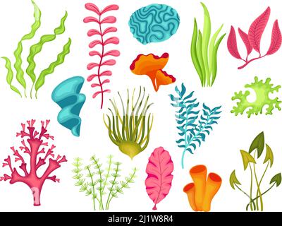Bright seaweeds aquarium decoration cartoon vector set isolated on