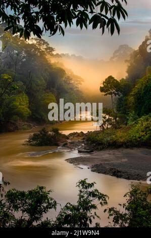 Dawn/sunrise over the Segama River, with mist hanging over lowland Dipterocarp rainforest. Heart of Danum Valley, Sabah, Borneo Stock Photo