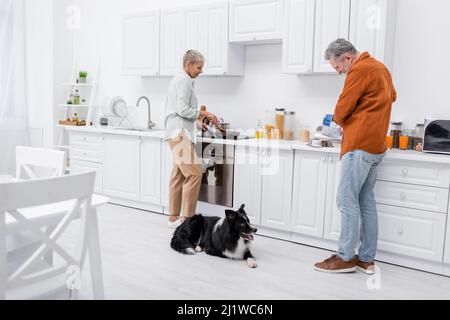 Side view of man pouring dog food in bowl near border collie and wife cooking in kitchen Stock Photo