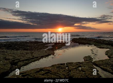 Summer sunrise on Thornwick Bay, Yorkshire ,UK Stock Photo