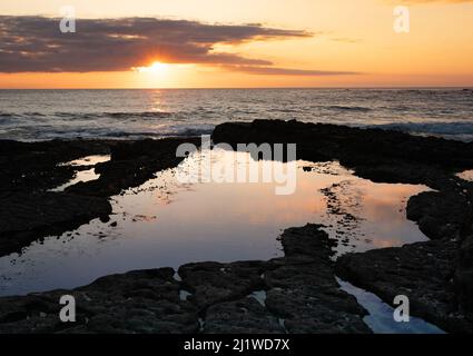Summer sunrise on Thornwick Bay, Yorkshire ,UK Stock Photo