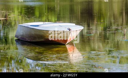 Old Green Plastic Fishing Boat At The Lake In Green Grass Stock Photo -  Download Image Now - iStock