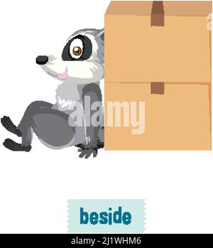 English prepositions, raccoon sitting beside boxes illustration Stock Vector