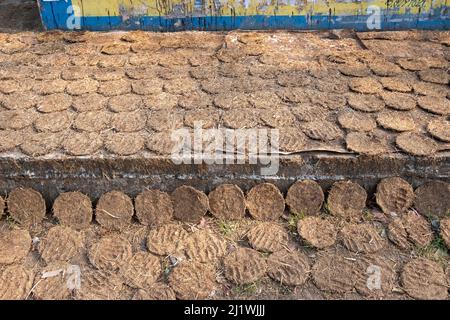 Cow Dung for sale at the Marketplace at Tiruvannamalai, Tamil Nadu, India Dry Cow Dung is used as a fuel for cooking and heating Stock Photo