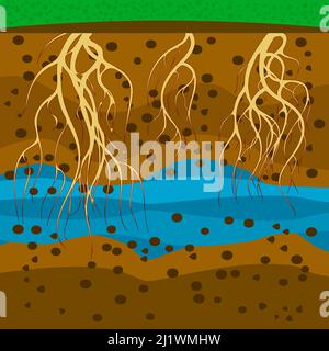 Roots in ground. Plant roots under soil.Soil layers.Dirt layers, underground water and root.Cross section ground slice.Land layer with roots and earth Stock Vector