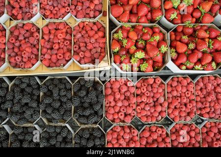 Blackberries, strawberries and raspberries in carton boxes on food farmers market. Stock Photo