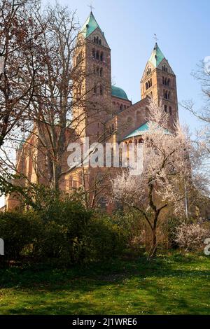 Famous Speyer Cathedral in Rhineland-Palatinate, Germany. Speyer is a city in Rhineland-Palatinate in Germany with approximately 50,000 inhabitants. L Stock Photo