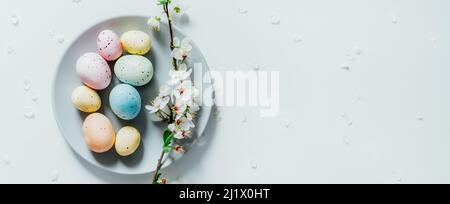Top view Colored Easter eggs and blooming tree branch on the gray plate with flower petals on the white table. Happy Easter and springtime wide banner Stock Photo