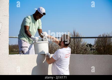 Symbol image of integration on the labour market: painter Ralf Brütting from Ludwigshafen (Rhineland-Palatinate) together with his apprentice, who fle Stock Photo