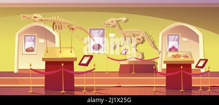 Museum of history with dinosaur skeletons, ancient insects in amber, clay pot and dino fossils. Artifacts at historical exhibition. Paleontology or ar Stock Vector