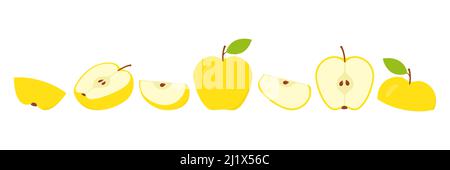Apples slices set. Cute fresh sliced apple large collection. Stock Vector