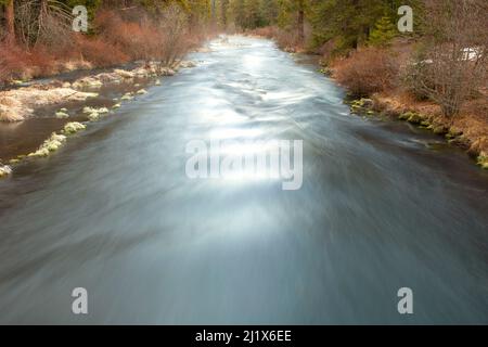 Metolius Wild and Scenic River, Deschutes National Forest, Oregon Stock Photo