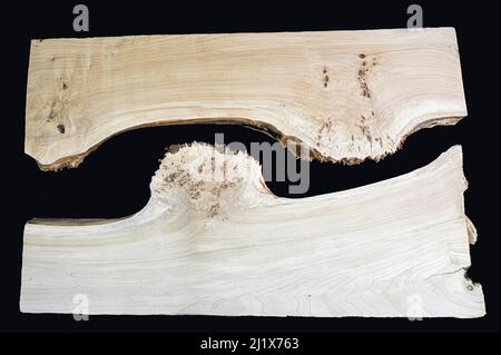Solid wood blanks for for exclusive custom-made furniture. Slose up of solid countertop. Live slab. Isolated on a black. Stock Photo