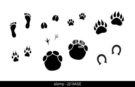 Vector bundle set of black animals foot prints isolated on white background Stock Vector