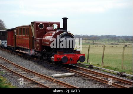 'Talyllyn' at Brynglas. Stock Photo