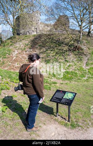 A visitor reading an interpretative sign at Castle Acre castle in Norfolk. Stock Photo