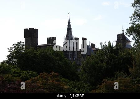 Cardiff Castle viewed from Bute Park. Stock Photo