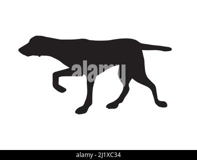 Vector black kurtshaar hunting dog silhouette isolated on white background Stock Vector