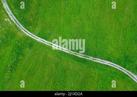 Countryside road across field of green grass, aerial view directly above Stock Photo