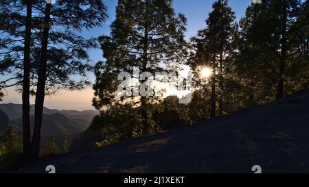 Beautiful landscape in the central mountains of island Gran Canaria, Canary Islands, Spain with evening sun shining through the silhouettes of trees. Stock Photo