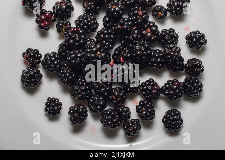 wild picked blackberry fruit on white plate Stock Photo
