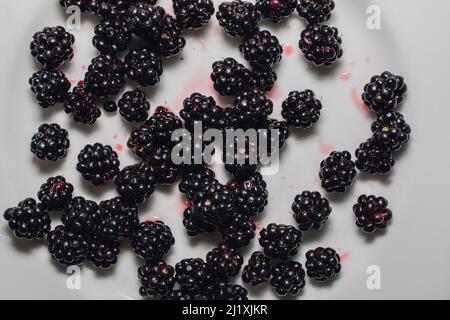 wild picked blackberry fruit on white plate Stock Photo