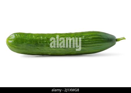 Long fresh green cucumber isolated on white Stock Photo
