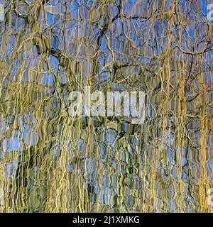 British waterway abstract photograph showing reflected pattern, texture, and shape,with a colour pallette showing in light forms mirrored refraction o Stock Photo