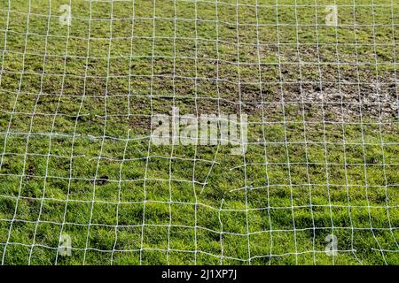 Broken string netting of a football goal. Copy space area for sports ...
