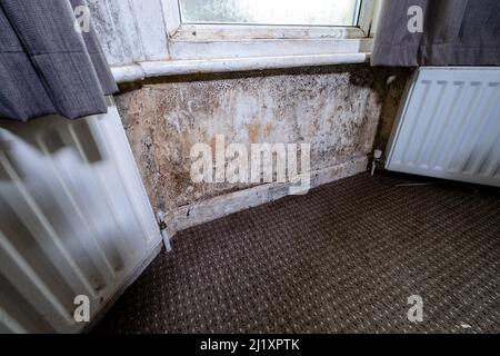 Terrible damp and mold on the walls and ceiling of a rented house covering the front room. Stock Photo