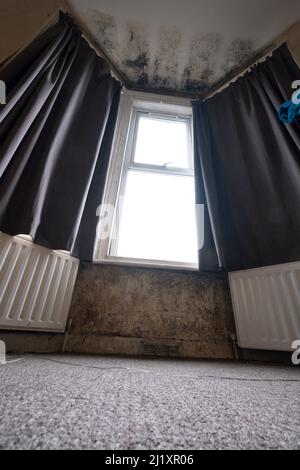 Terrible damp and mold on the walls and ceiling of a rented house covering the front room. Stock Photo