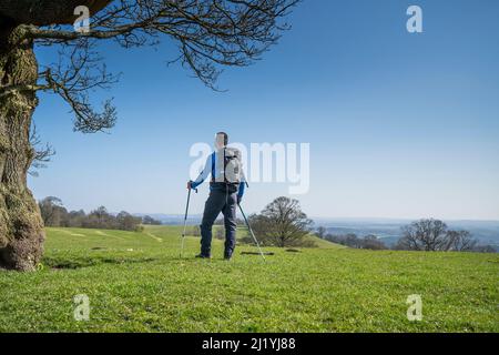 Rear view of isolated male hiker, with walking poles & rucksack, standing on the top of a hill in UK countryside staring at the scenic view. Stock Photo