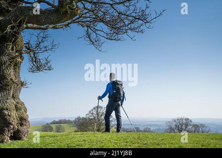 Rear view of isolated male hiker, with walking poles & rucksack, standing on the top of a hill in UK countryside staring at the scenic view. Stock Photo