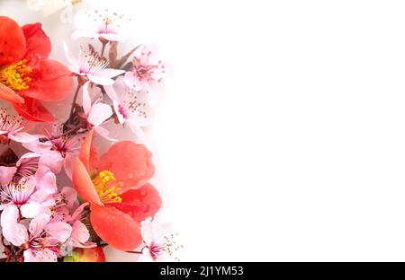 Spring floral copmosition on white background with copy space Stock Photo